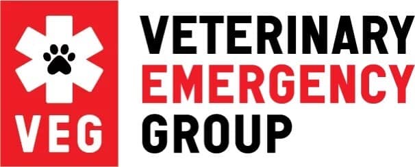 Logo of the Veterinary Emergency Group featuring a stylized veterinary cross with a paw print inside. The text "Veterinary Emergency Group" is written beside the cross, with "VEG" at the bottom, highlighting their commitment to exceptional vet care.