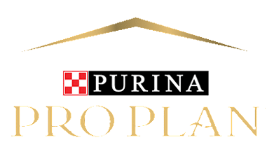 The Purina Pro Plan logo features a stylized gold arch above, resembling the excellence trusted by veterinarians. "Purina" appears in a black rectangular box, while "Pro Plan" is boldly displayed in large gold letters below.